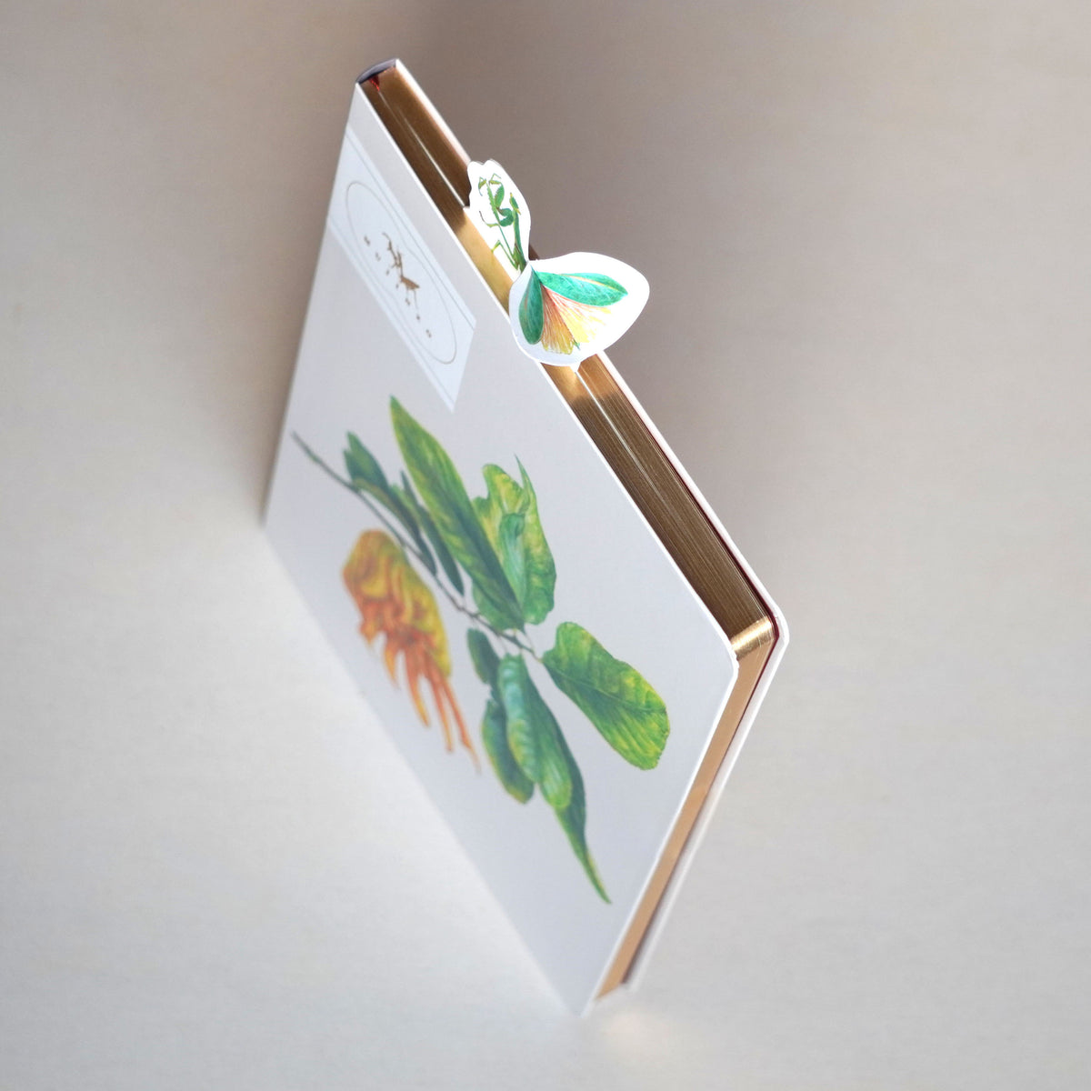 Amazon.co.jp: lilizzhoumax カマキリぬいぐるみ、スーパー