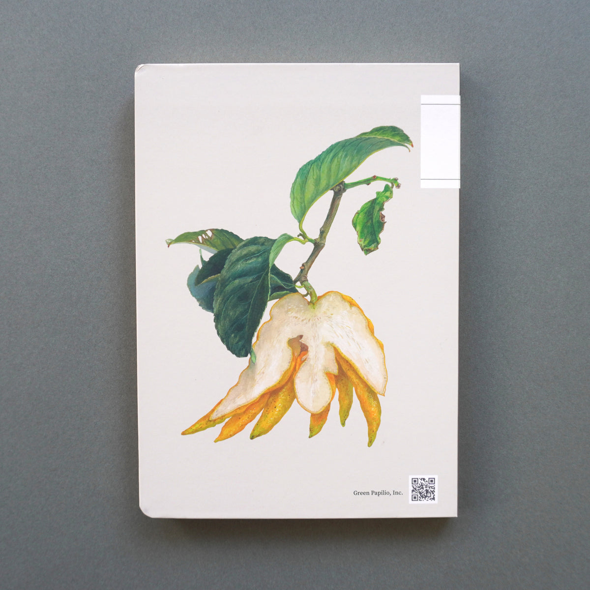 MUJINZO Notebook “仏手柑” – Green Papilio