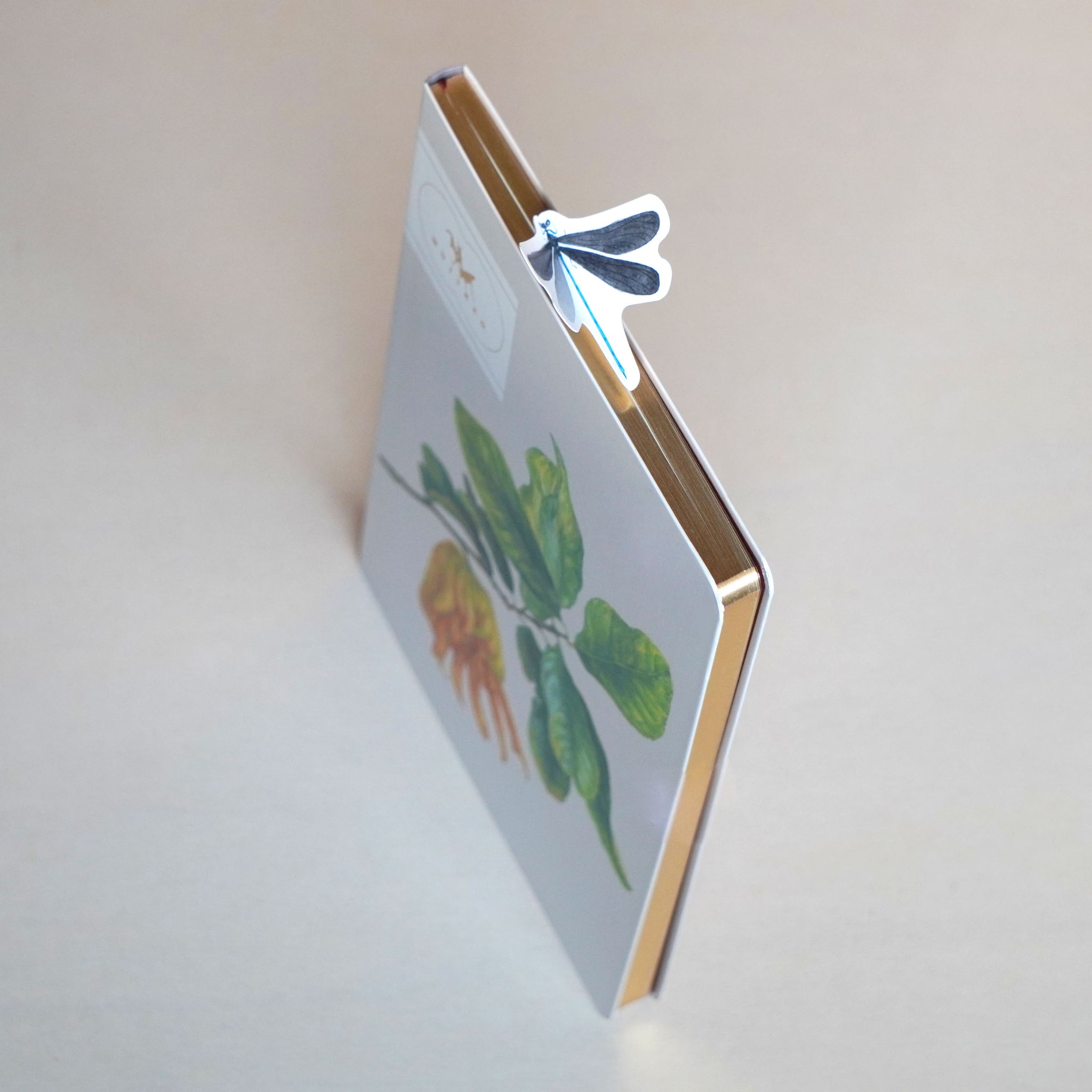MUJINZO Bookmaker “羽黒トンボ” – Green Papilio