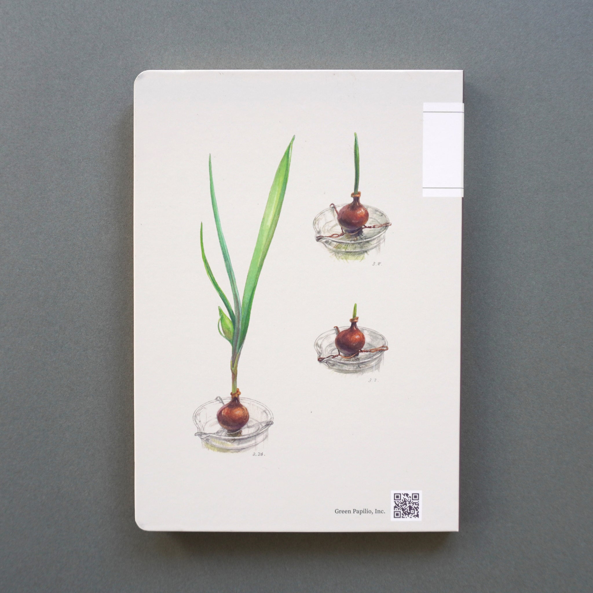 MUJINZO Notebook “ヒヤシンス” – Green Papilio